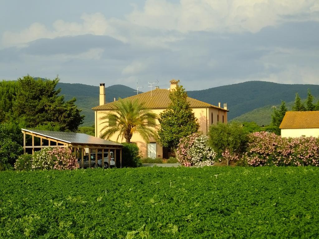 Agriturismo Sant'Uberto Bolgheri Exterior foto